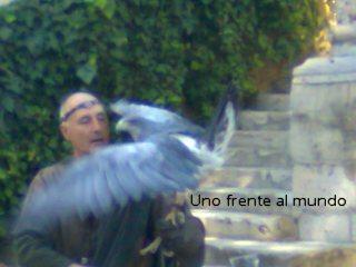 Un largo paseo Un largo paseo