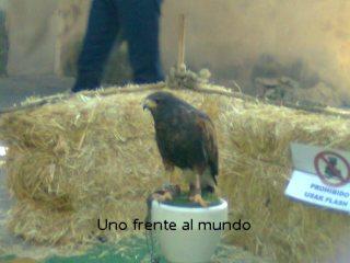 Un largo paseo Un largo paseo