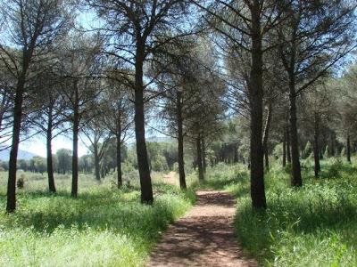 DIA DEL CHORIZO EN PUERTOLLANO. TRADICIÓN POPULAR. PAN RELLENO DE CHORIZO. DIA DEL CHORIZO EN PUERTOLLANO. TRADICIÓN POPULAR. PAN RELLENO DE CHORIZO.