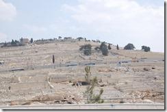 Oporrak 2011 - Israel ,- Jerusalem, 23 de Septiembre 52 Oporrak 2011 - Israel ,- Jerusalem, 23 de Septiembre 52