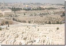 Oporrak 2011 - Israel ,- Jerusalem, 23 de Septiembre 36 Oporrak 2011 - Israel ,- Jerusalem, 23 de Septiembre 36