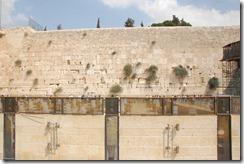 Oporrak 2011 - Israel ,- Jerusalem, 23 de Septiembre 230 Oporrak 2011 - Israel ,- Jerusalem, 23 de Septiembre 230