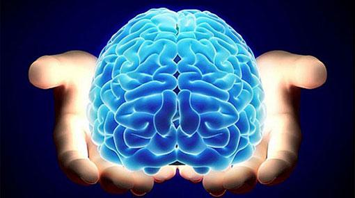 cerebro Di que vas a decirlo. Dilo.Di que lo has dicho.