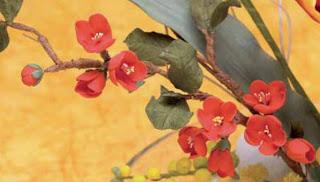 Diferentes tipos de fondant y pastas de azúcar Diferentes tipos de fondant y pastas de azúcar