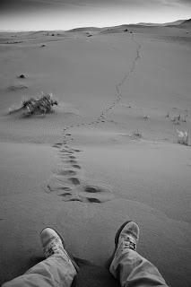 SÉ LO QUE VISTEIS EL ÚLTIMO DÍA EN TV SÉ LO QUE VISTEIS EL ÚLTIMO DÍA EN TV