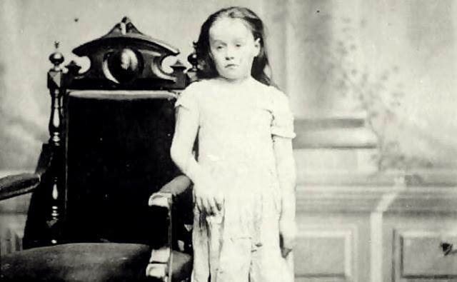 Yo quisiera ser... como los animales Yo quisiera ser... como los animales