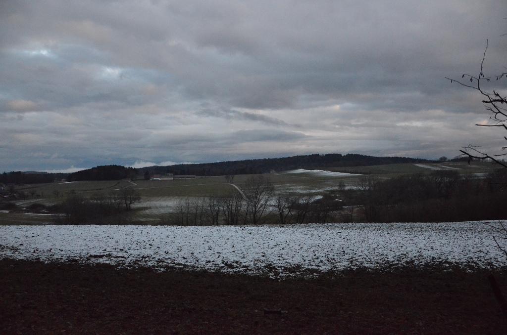 Fade to grey Fade to grey