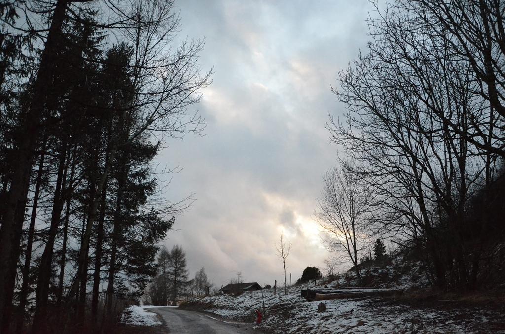 Fade to grey Fade to grey