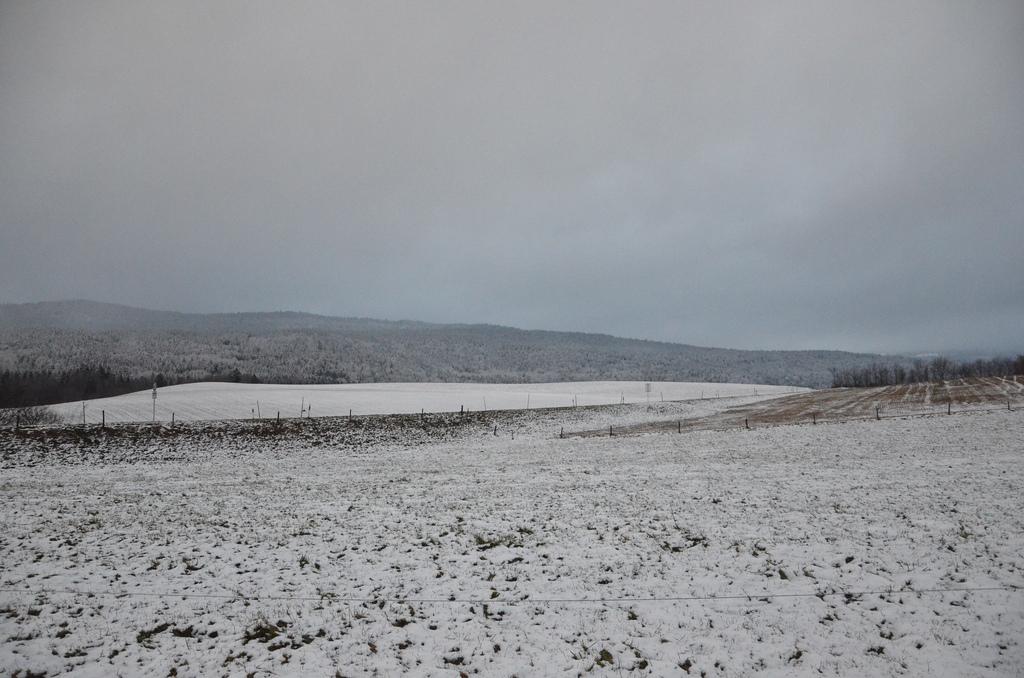 Fade to grey Fade to grey