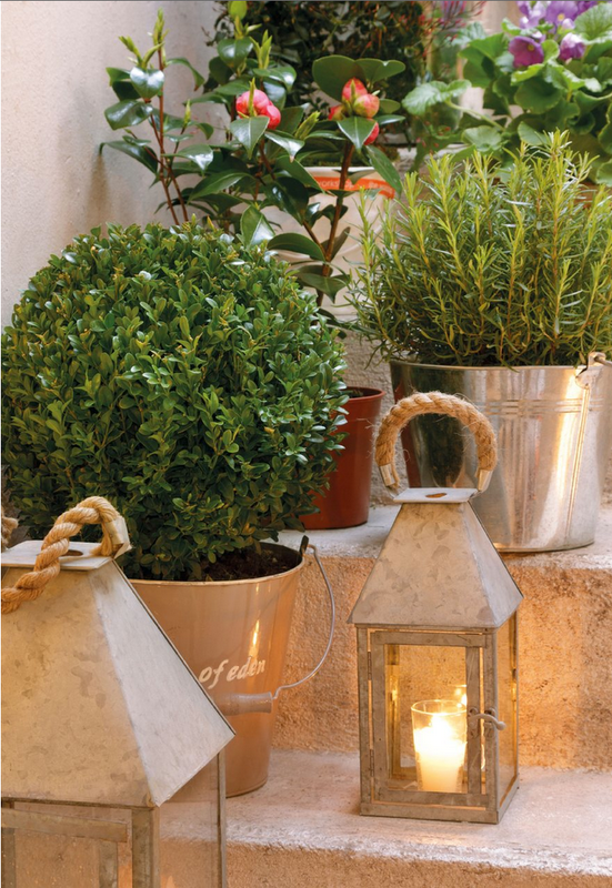 Un hogar muy vivido Un hogar muy vivido