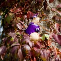 PRESENTACIÓN LITERATURA VERTICAL La banda