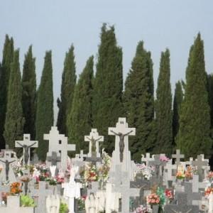 La razón por la que hay cipreses en los cementerios es mitológica..