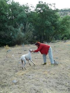 NO SOLO SE VIVE DE GANCHILLO NO SOLO SE VIVE DE GANCHILLO