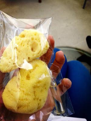 Presentación evento Blogger Matane Presentación evento Blogger Matane