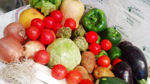 Ecotierra 23012013859