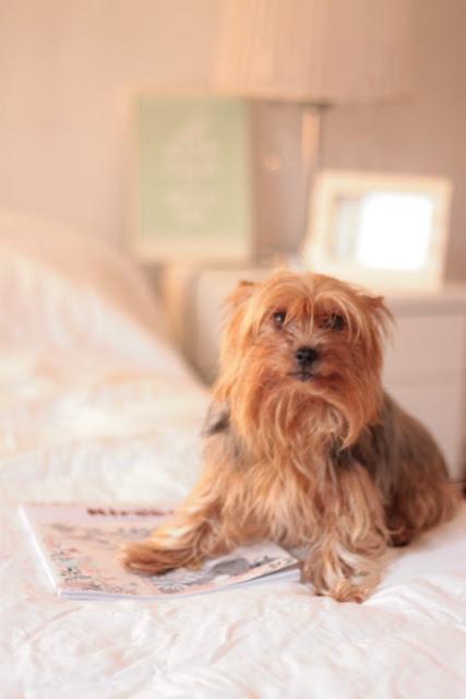 52 Week - Semana 3 52 Week - Semana 3