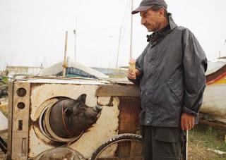 Cuando los chanchos vuelen (2011) Cuando los chanchos vuelen (2011)