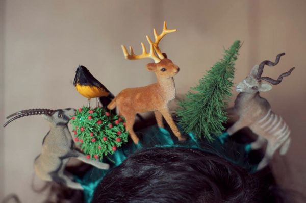 Pájaros en la cabeza pajaros