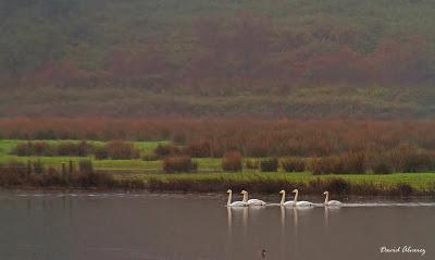 Tomemos un poco de aire Tomemos un poco de aire
