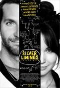 El lado luminoso de la vida, de David Russell. Camino al Oscar 2013