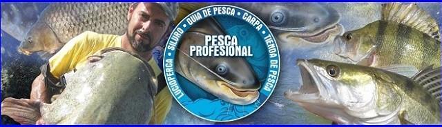 VIDEOS SILUROS A SPINNING VIDEOS SILUROS A SPINNING 640x184 PESCA DE SILUROS AL LANZADO 2013