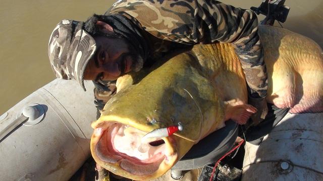 SILURO SILURO 1 PESCA DE SILUROS AL LANZADO 2013