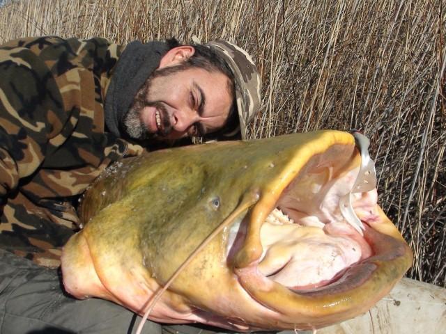 PESCA GUIADA DEL SILURO PESCA GUIADA DEL SILURO 2 640x480 PESCA DE SILUROS AL LANZADO 2013