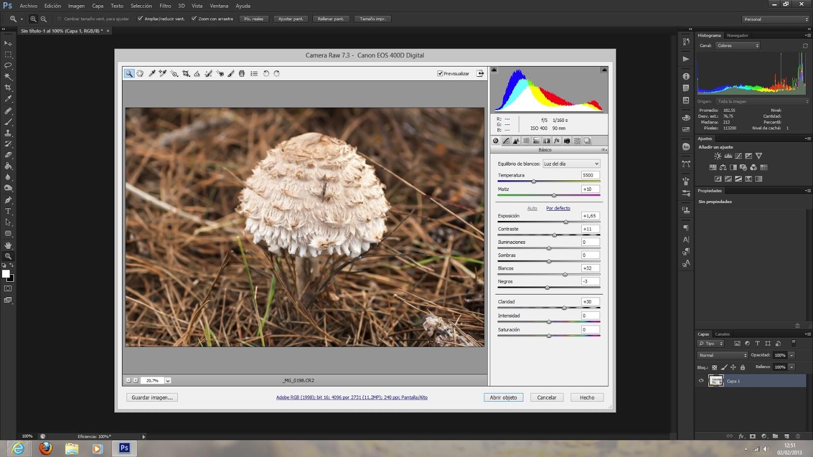 Unidad II - Trabajando con Photoshop CS6. Conceptos básicos (I)