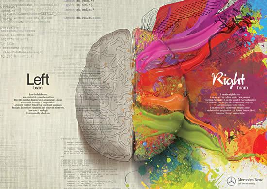 La Importancia de Apelar al Hemisferio Derecho y al Izquierdo en las Comunicaciones de Marketing diferencias entre hemisferioss del cerebro