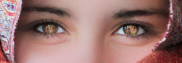 Hace un año (enero 2012) Hace un año (enero 2012)