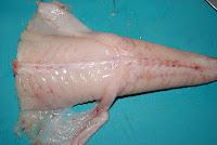 Brochetas de rape con langostinos Brochetas de rape con langostinos