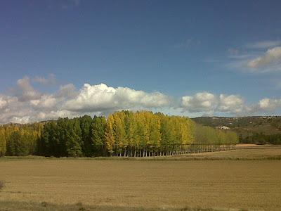 Un viaje, en otoño, a Berlanga de Duero. Primera parte: de Retortillo a Barcones