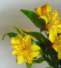 Pecados ocultos Pecados ocultos