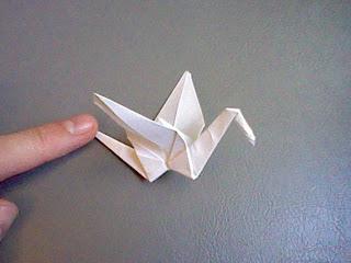 Recto o Redondeado Recto o Redondeado