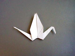 Recto o Redondeado Recto o Redondeado