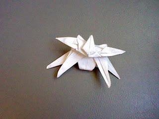 Recto o Redondeado Recto o Redondeado