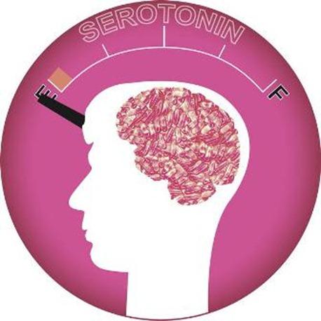 La serotonina en la depresion La serotonina en la depresion