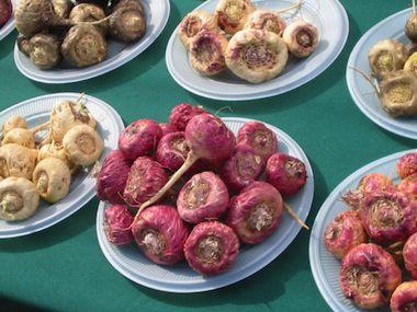 Propiedades de la Maca Andina Propiedades de la Maca Andina
