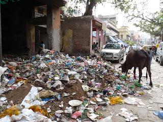 Día 15. Un antes y un después en el Ganges!! Día 15. Un antes y un después en el Ganges!!