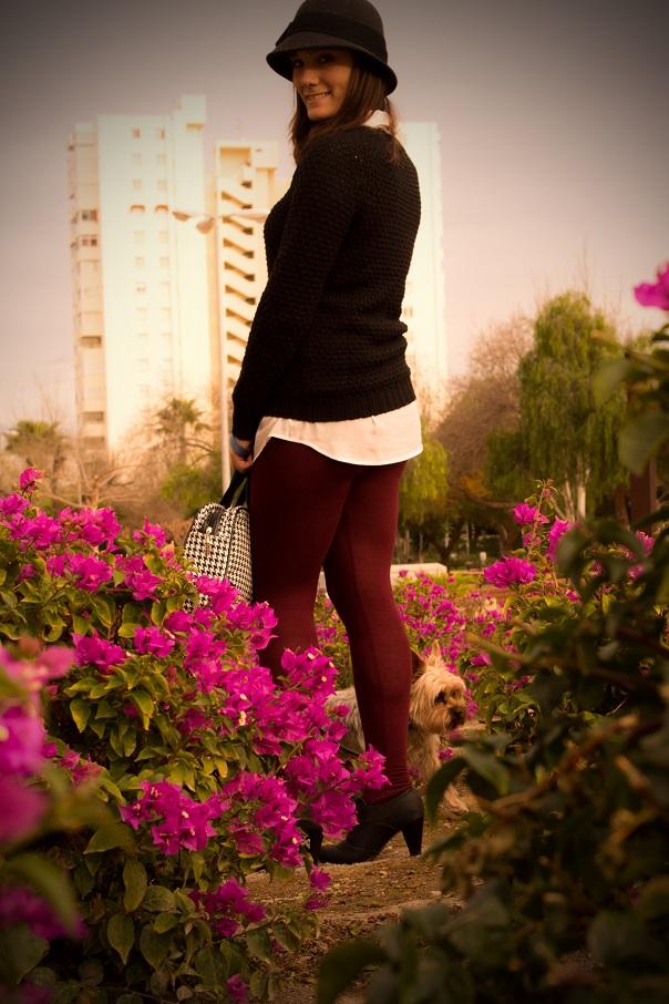 The color of the season The color of the season