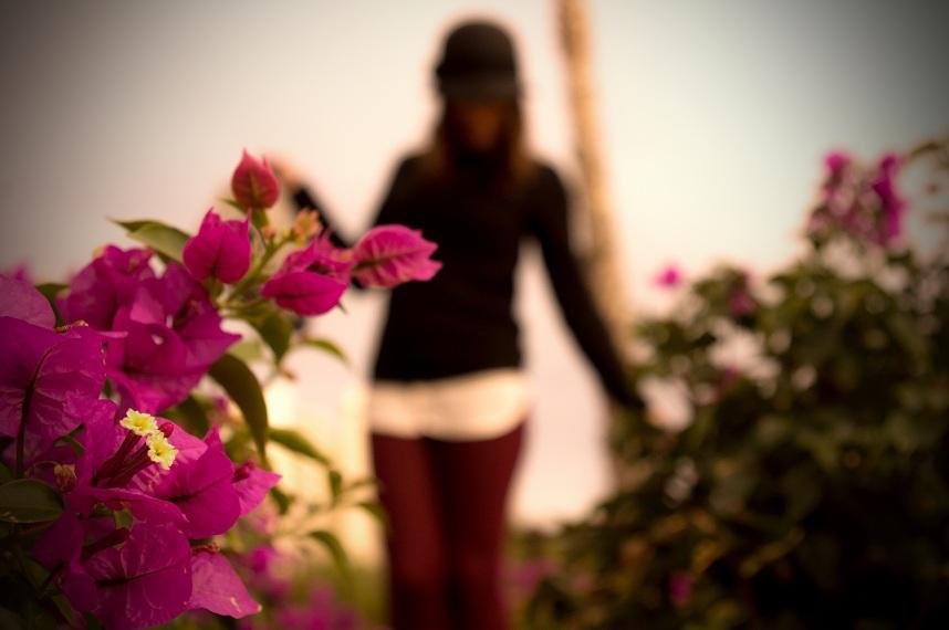 The color of the season The color of the season