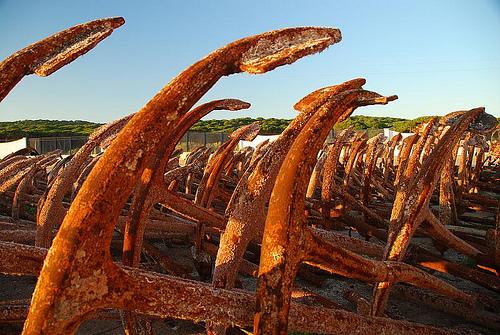 Aportar sentido, aportar salud Aportar sentido, aportar salud
