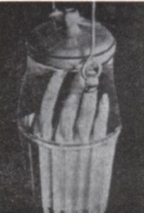 El secreto de la marquesa de Villasante. El secreto de la marquesa de Villasante.