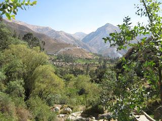 EL PAGO AL APU: NUNCA SE SABE EL PAGO AL APU: NUNCA SE SABE