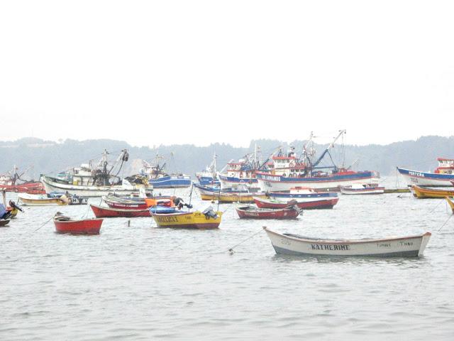 Caleta Tumbes