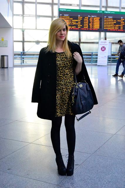 Leopard Lady Leopard Lady