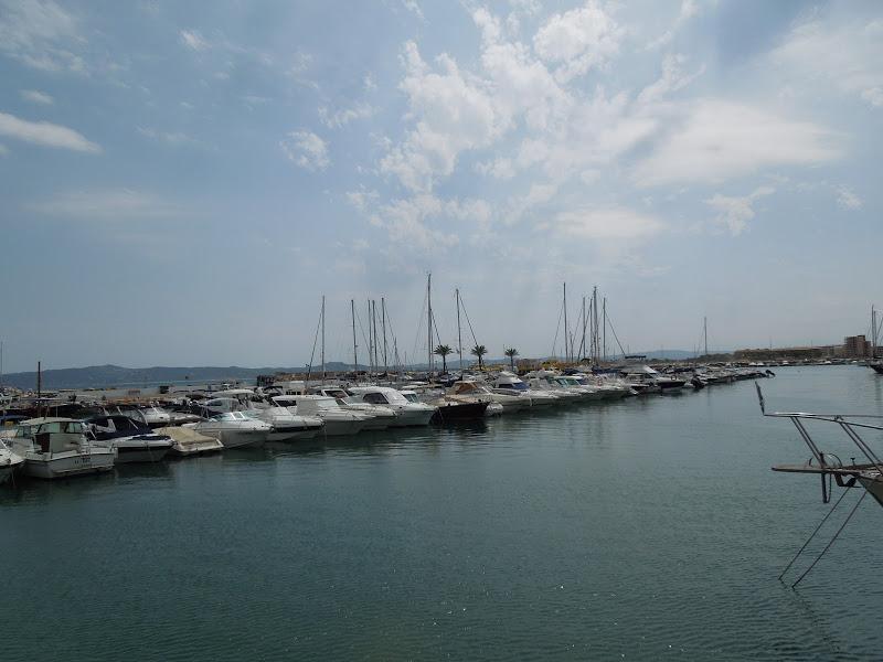 L'Estartit : Puerto L'Estartit : Puerto