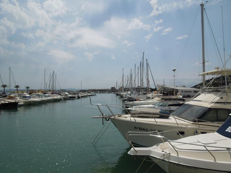 L'Estartit : Puerto L'Estartit : Puerto