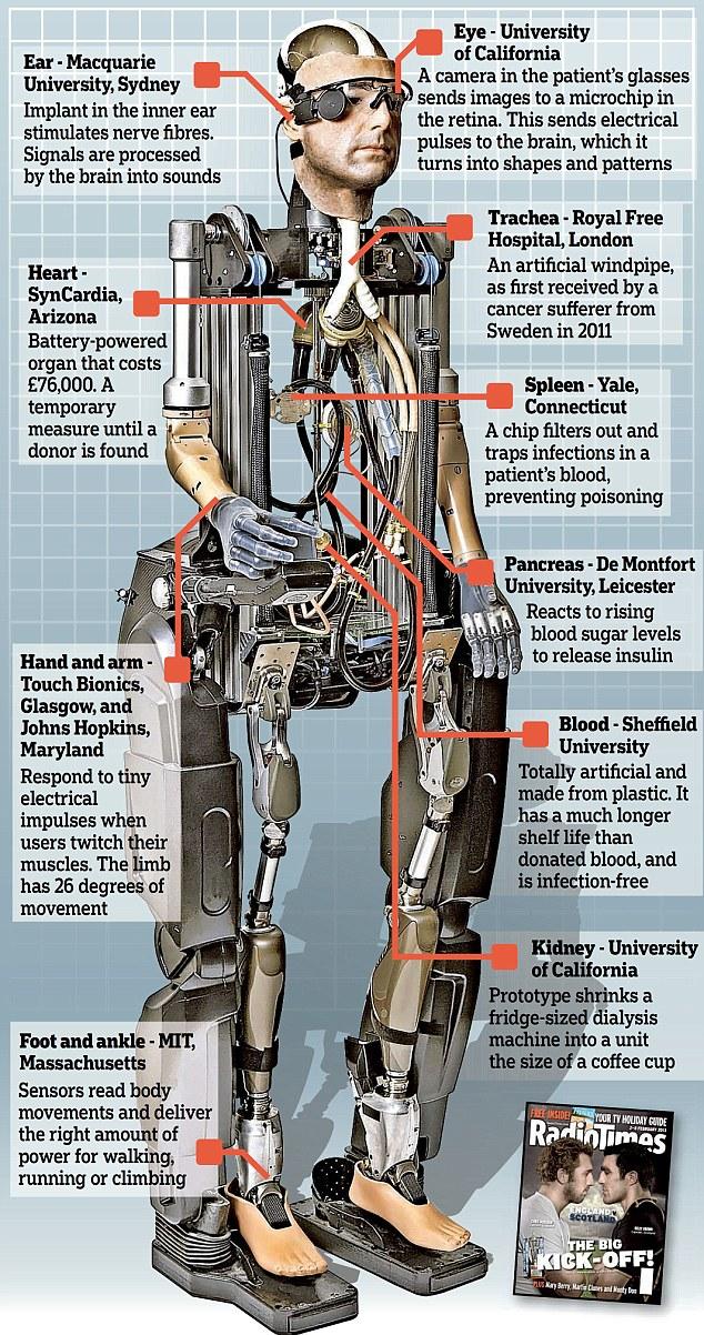 Rex infografia