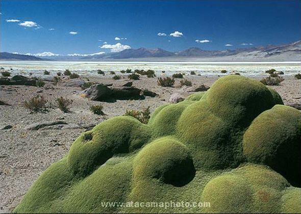 Desierto de Atacama